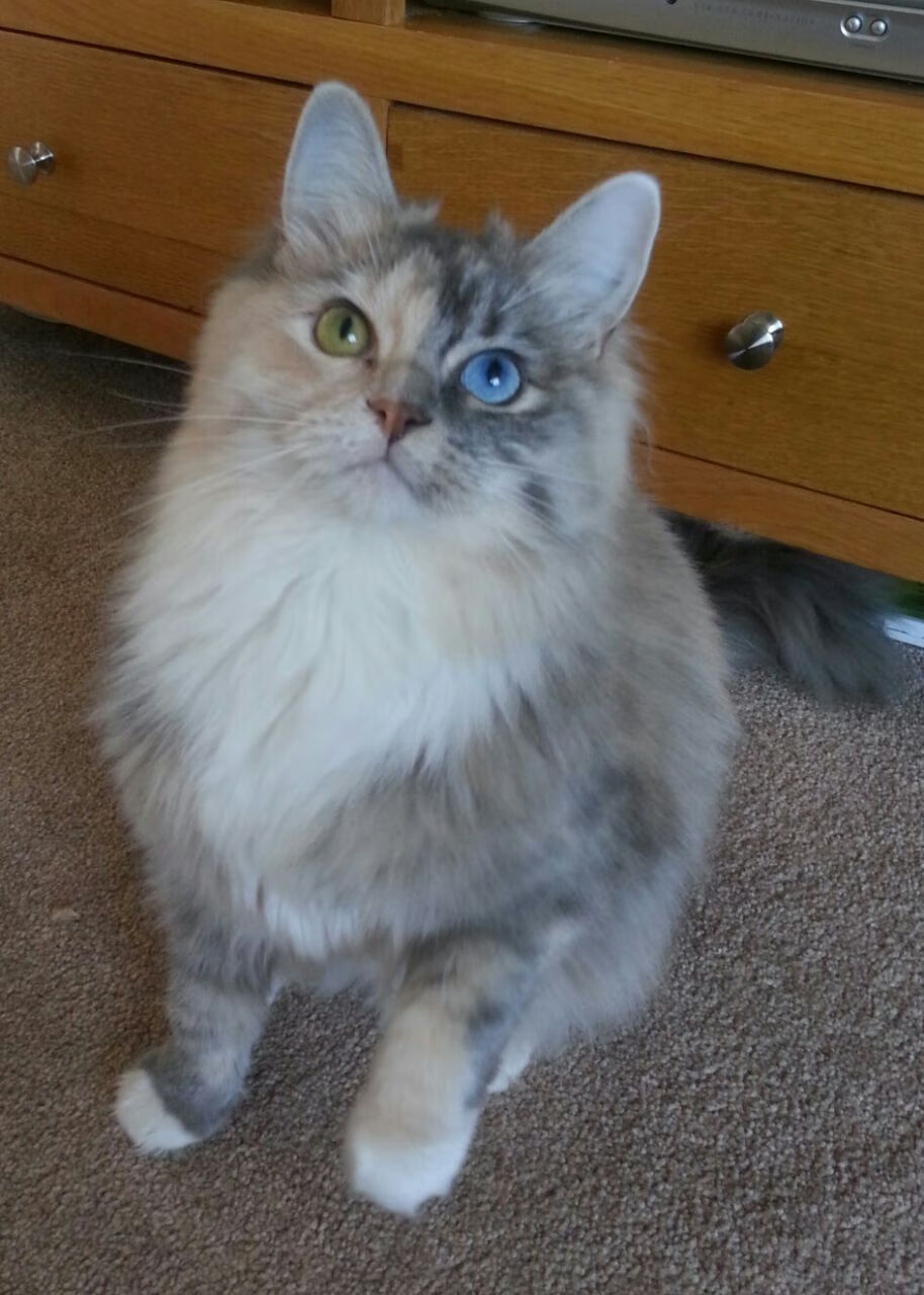 体育产业数字化转型实践，我国体育产业数字化转型研究