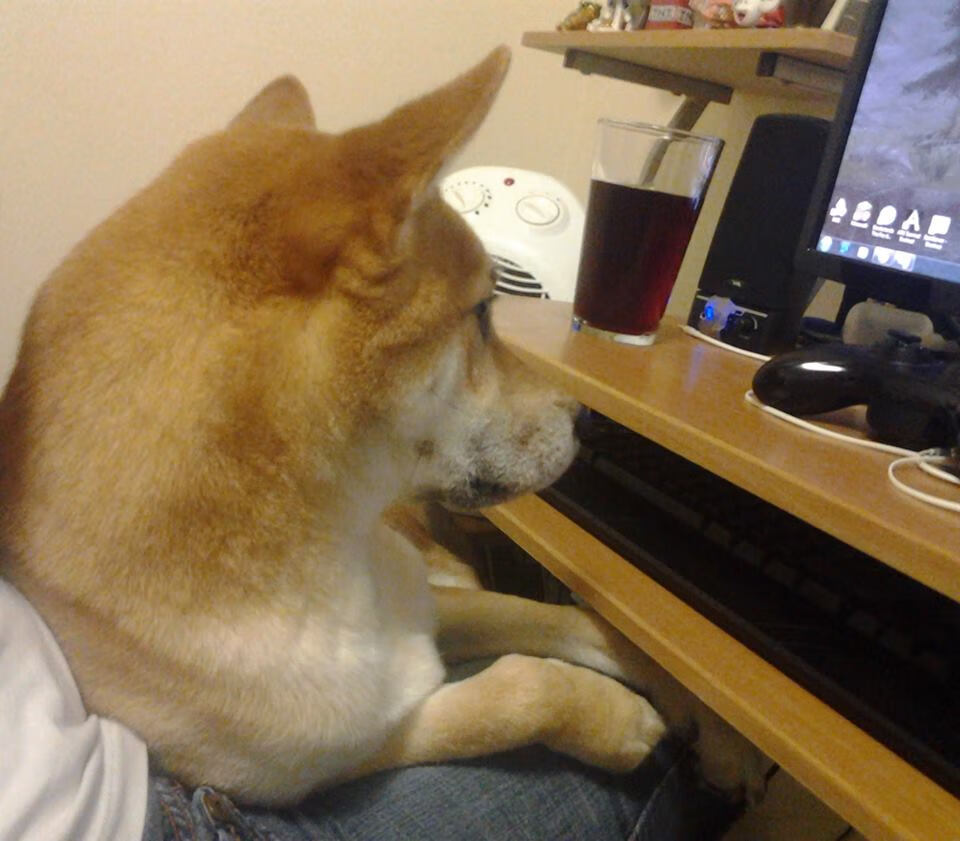 大学生体育课兴趣导向型教学改革策略,体育课兴趣的培养