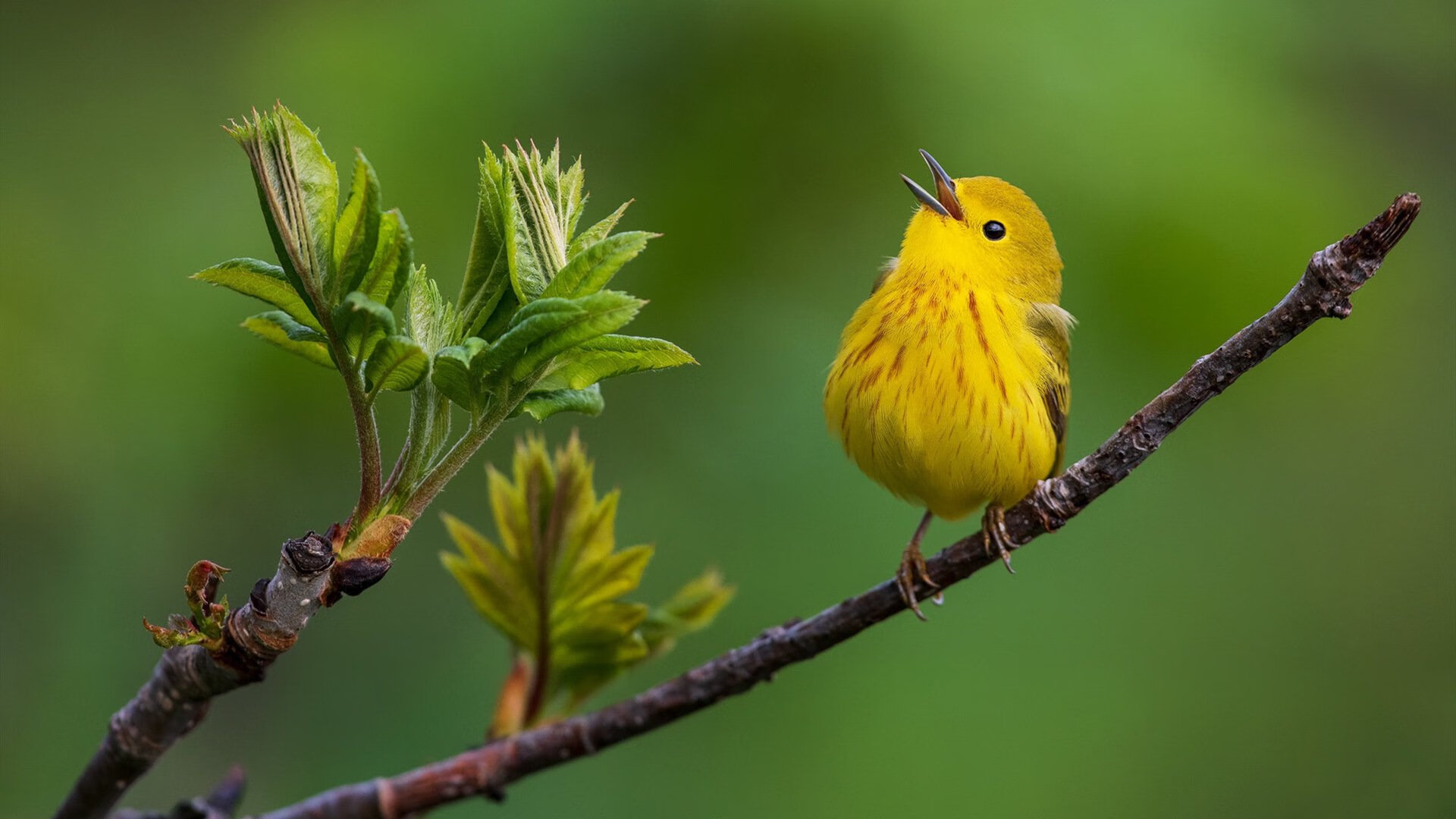 爱游戏-新闻中心年度品牌价值持续提升，品牌价值彰显
